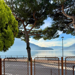 Vista Lago - Lake Como collection Domaso